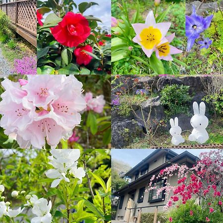 貸別荘花摘里　伊豆高原 Futo Dış mekan fotoğraf