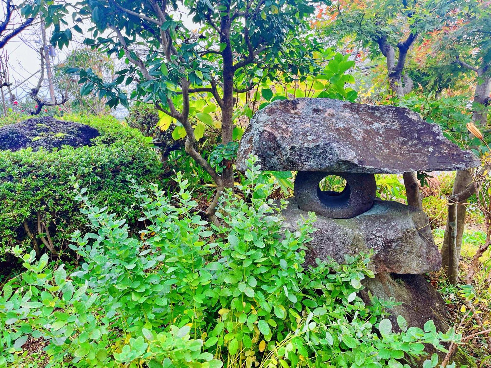 貸別荘花摘里　伊豆高原 Futo Dış mekan fotoğraf