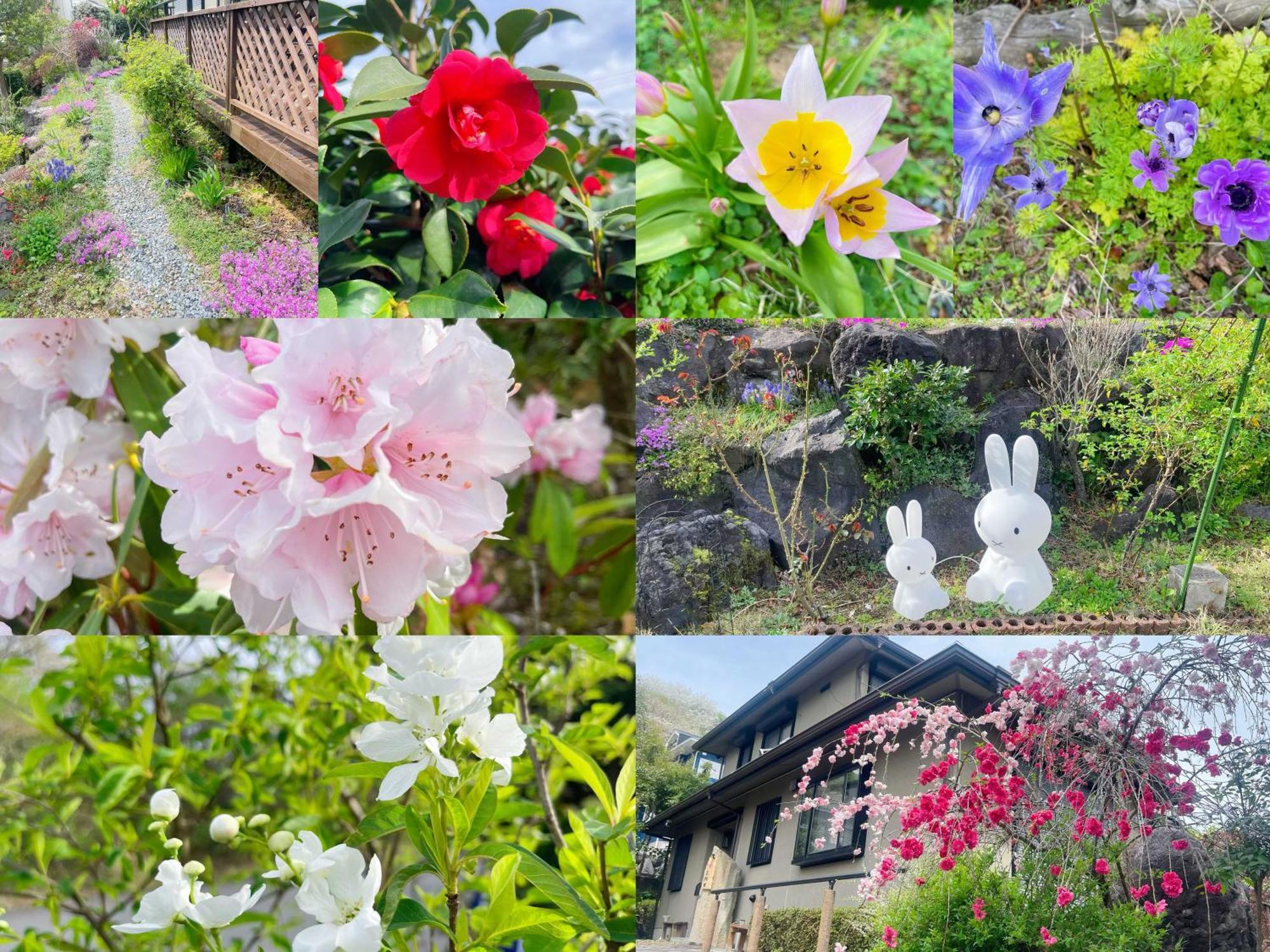 貸別荘花摘里　伊豆高原 Futo Dış mekan fotoğraf