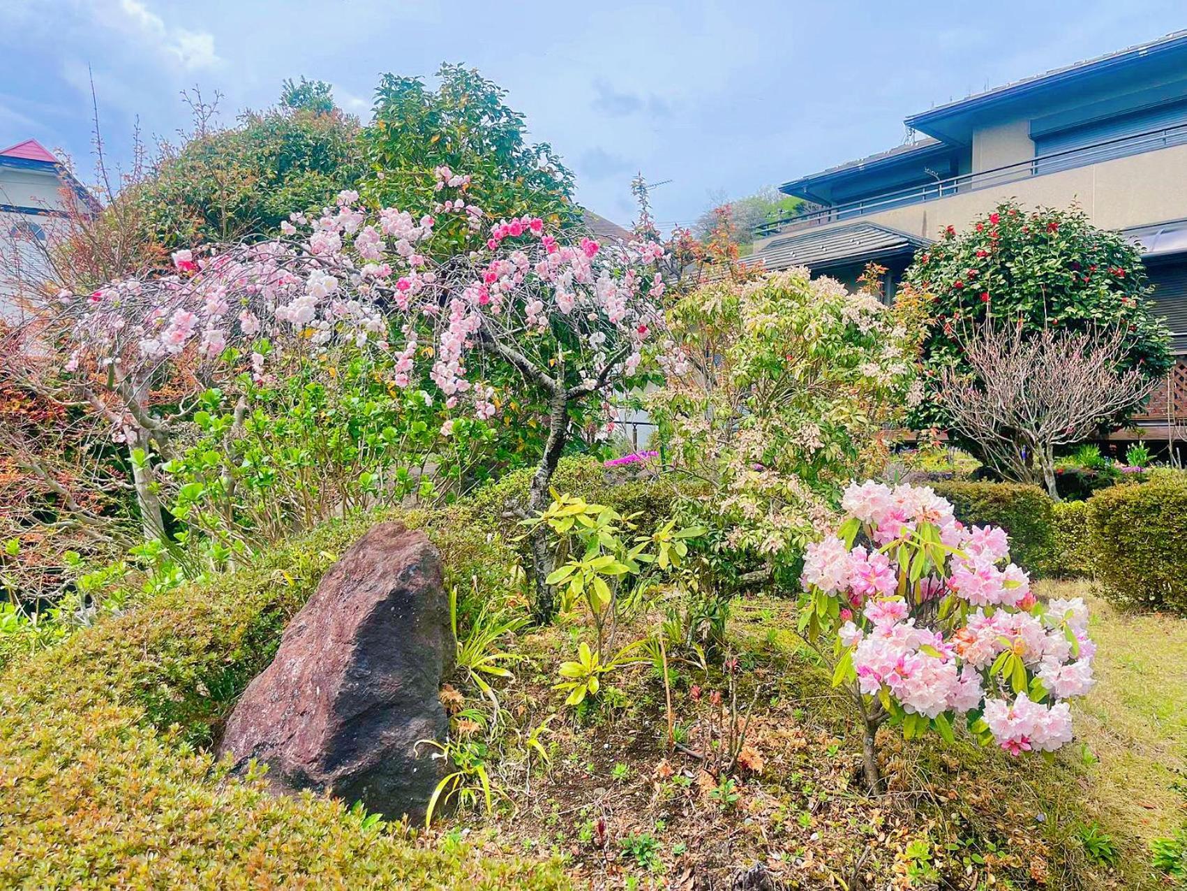 貸別荘花摘里　伊豆高原 Futo Dış mekan fotoğraf